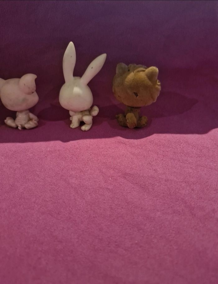 Petshop - photo numéro 5