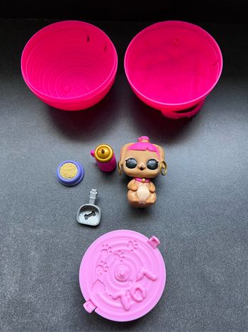 Chien Lol et ses accessoires