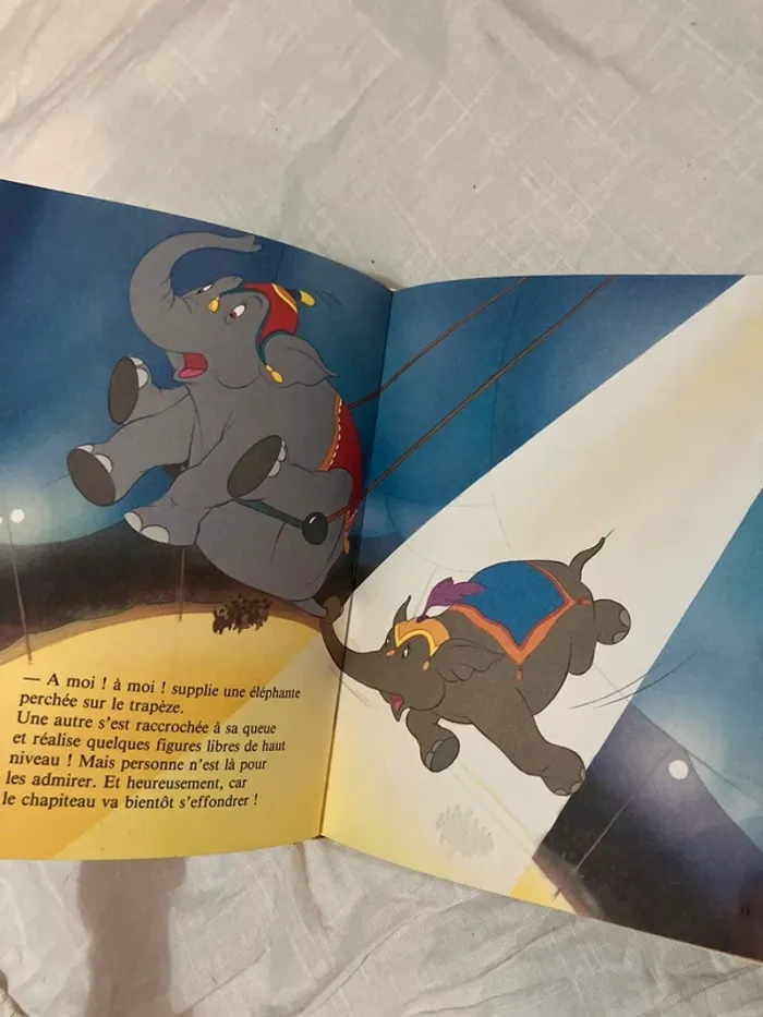 Livre enfant – Dumbo - photo numéro 12