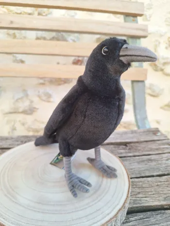 black crow corbus corbeau raven corvo cuervo rabe Hansa anima