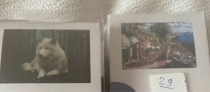 Diamond painting fleur sous cloche - photo numéro 5