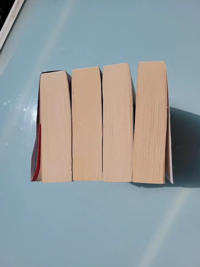 4 Premier romans grands formats de la saga Le Labyrinthe : Livres 1, 2, 3 et 4 - photo numéro 6