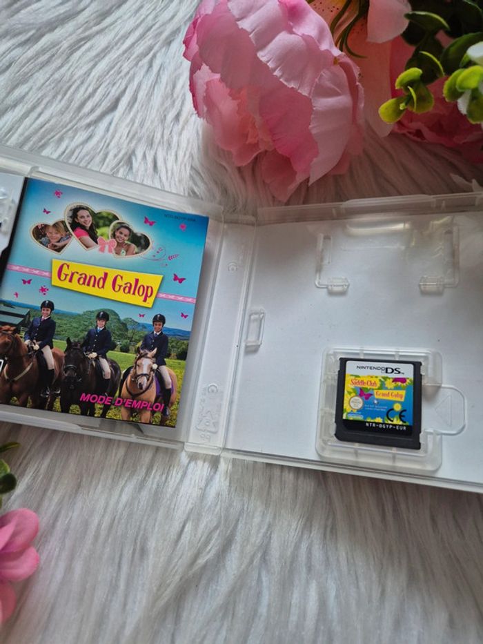 Jeux Nintendo ds Grand galop - photo numéro 3