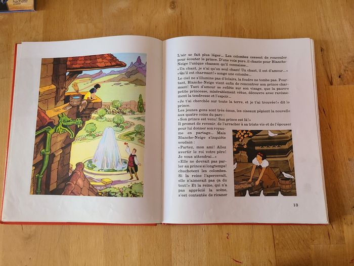 Blanche neige et les 7 nains - photo numéro 5