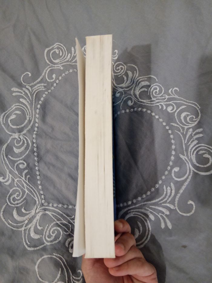 Livre (1) 📚 Le prince charmant est infidèle - photo numéro 4
