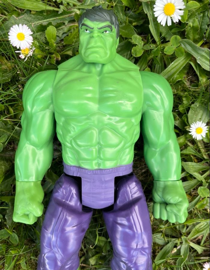 Hulk Marvel - photo numéro 2