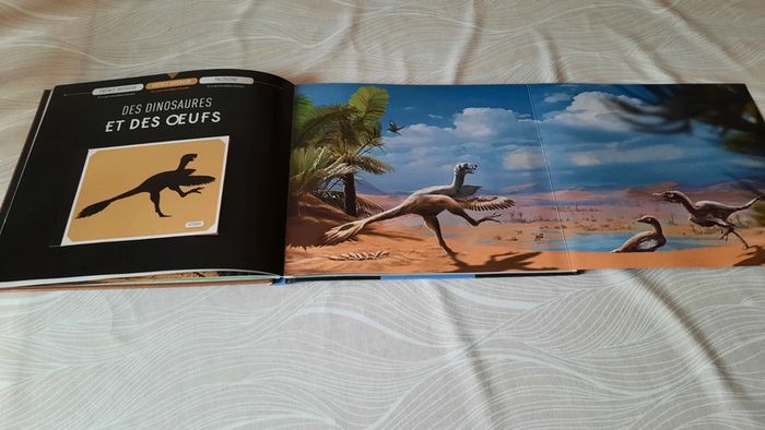 Sur les traces des dinosaures à plumes - photo numéro 4