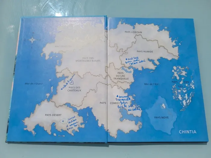 Livre couverture rigide, grand format, l'école des loisirs, La Grande Forêt, le pays des Chintiens - photo numéro 3