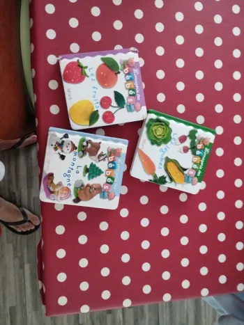 Lot de 3 livres pour découvrir