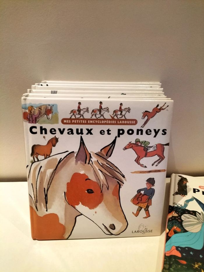 Lot de 8 documentaires Mes petites encyclopédies - photo numéro 6