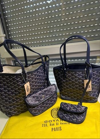 Lot Sac Goyard Saint Louis grand et petit