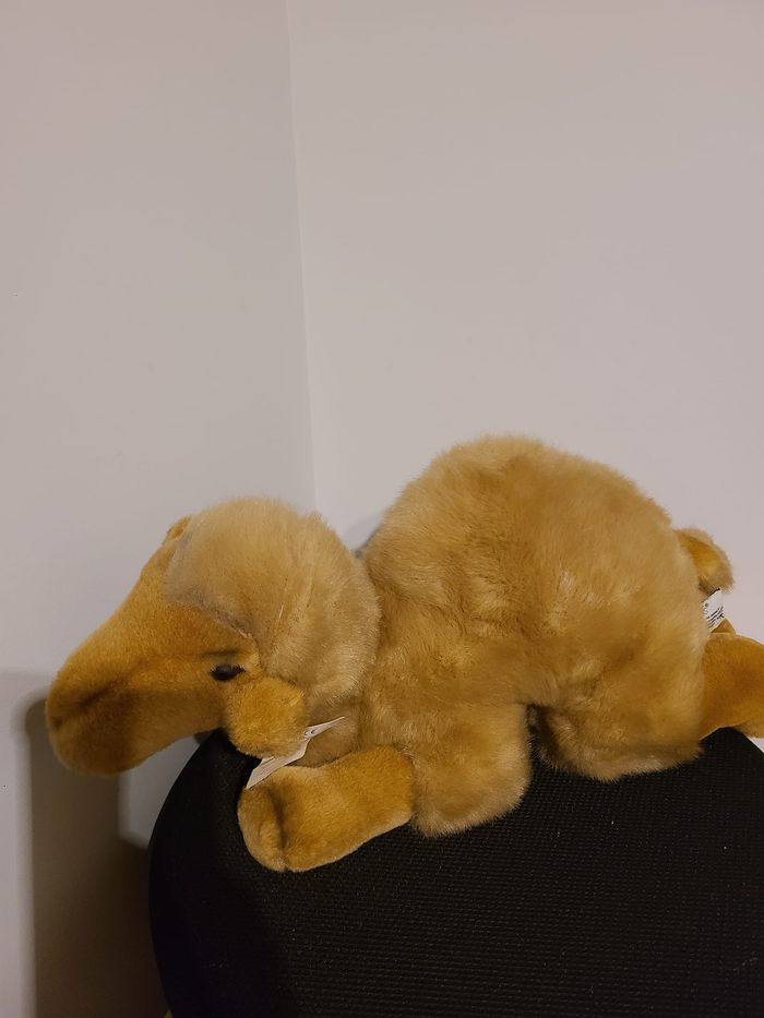peluche chameau - photo numéro 6