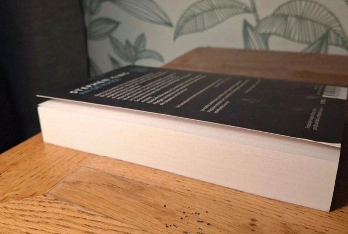 Livre de poche Stephen King - photo numéro 4