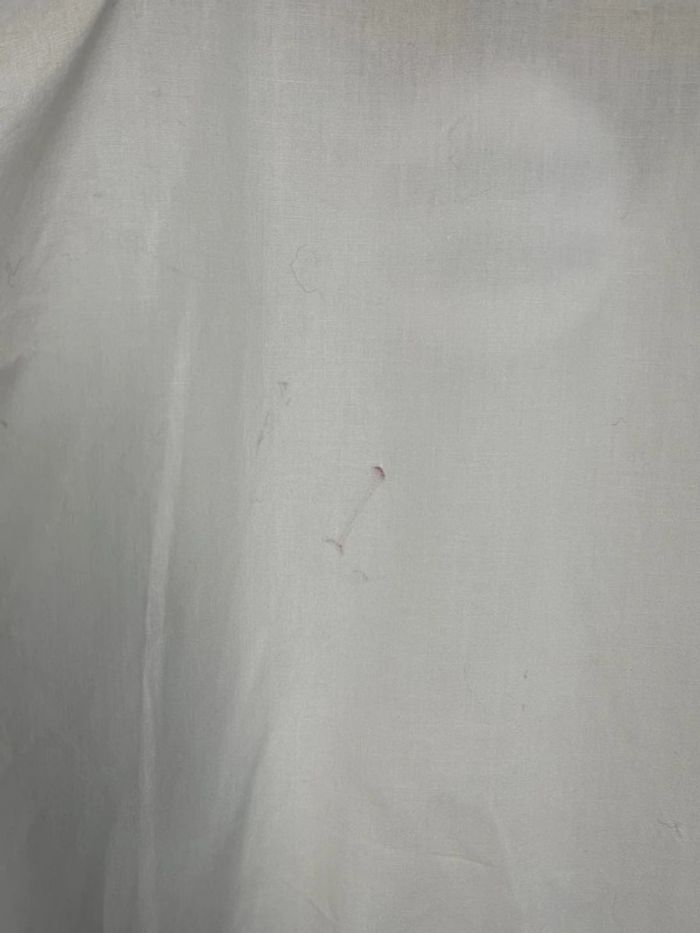 Chemise manches courtes Zeta Otto - photo numéro 5