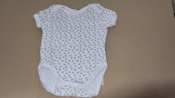 Body manches courtes