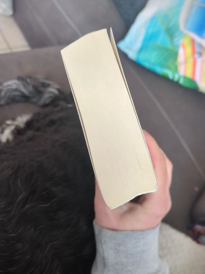 Monteperdido de Martinez - photo numéro 3