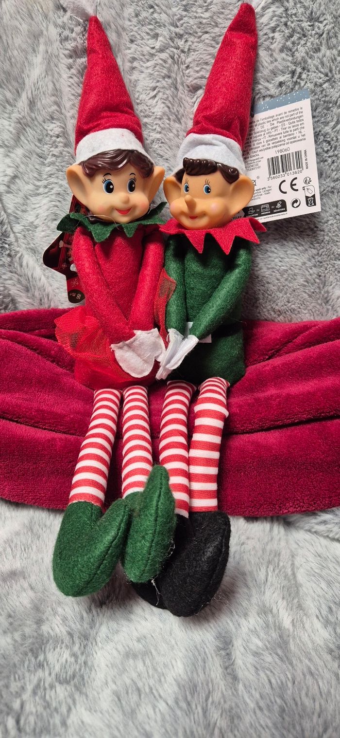 Duo de lutins farceurs - photo numéro 2