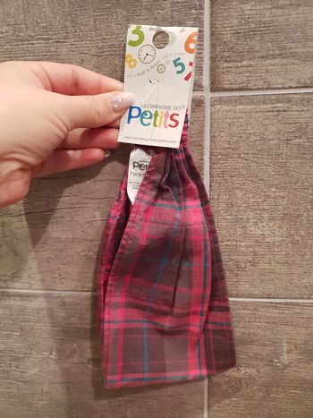 Bandeau compagnie des petits