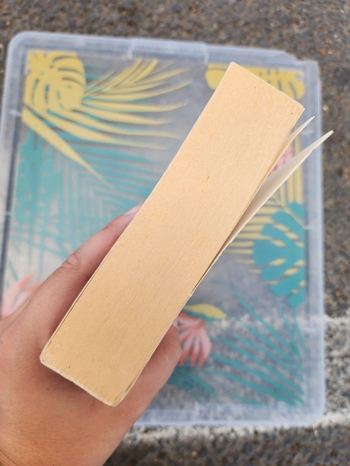 Livre broché "blood lovers" de Tessa Gratton - photo numéro 4