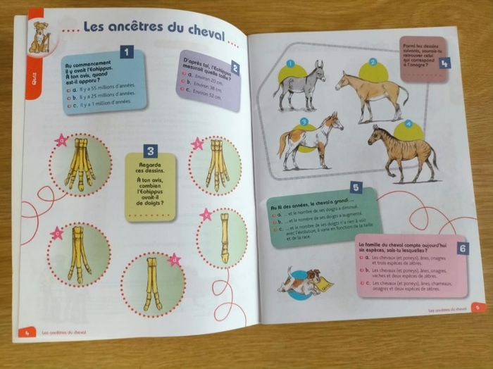 Lot de deux livres jeux et stickers pour enfants - photo numéro 5