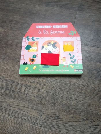 Livre à feutrine