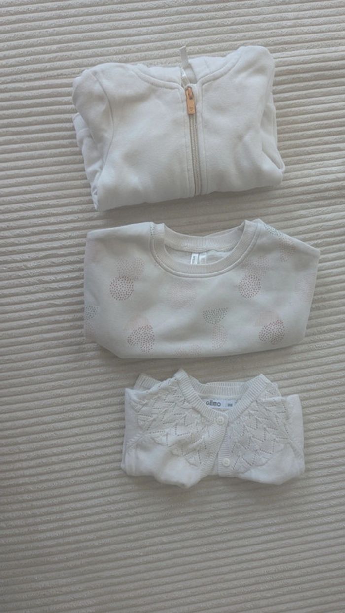 Lot 3 gilets et pull