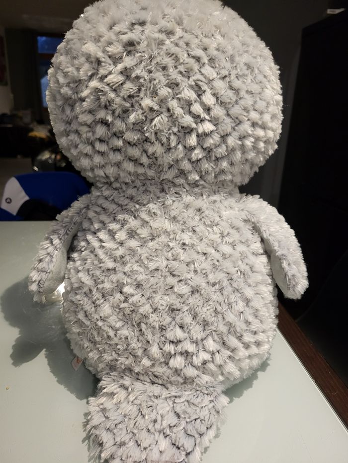 Chouette - photo numéro 2