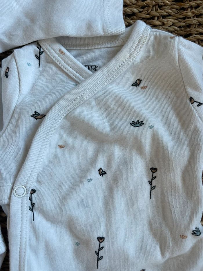 2 bodies préma éléphants twins - photo numéro 3