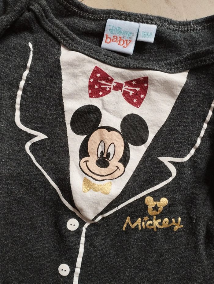 Bodis mickey - photo numéro 2