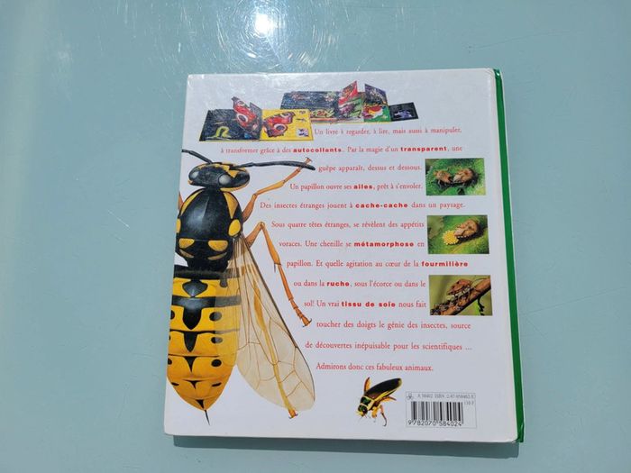 🦗 Mille Milliards d'insectes 🪳livre animé Gallimard Jeunesse (73) - photo numéro 20