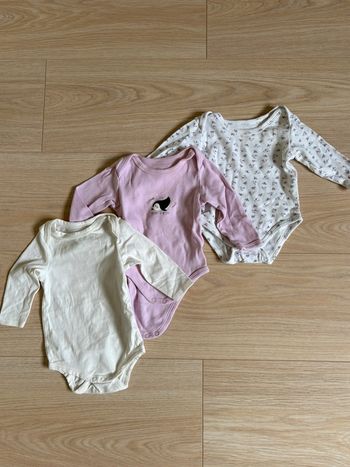 Lot bodies