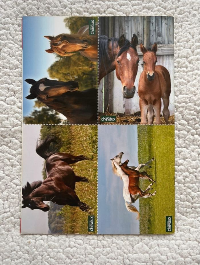 Magazine + 3 posters l’univers du cheval - photo numéro 3