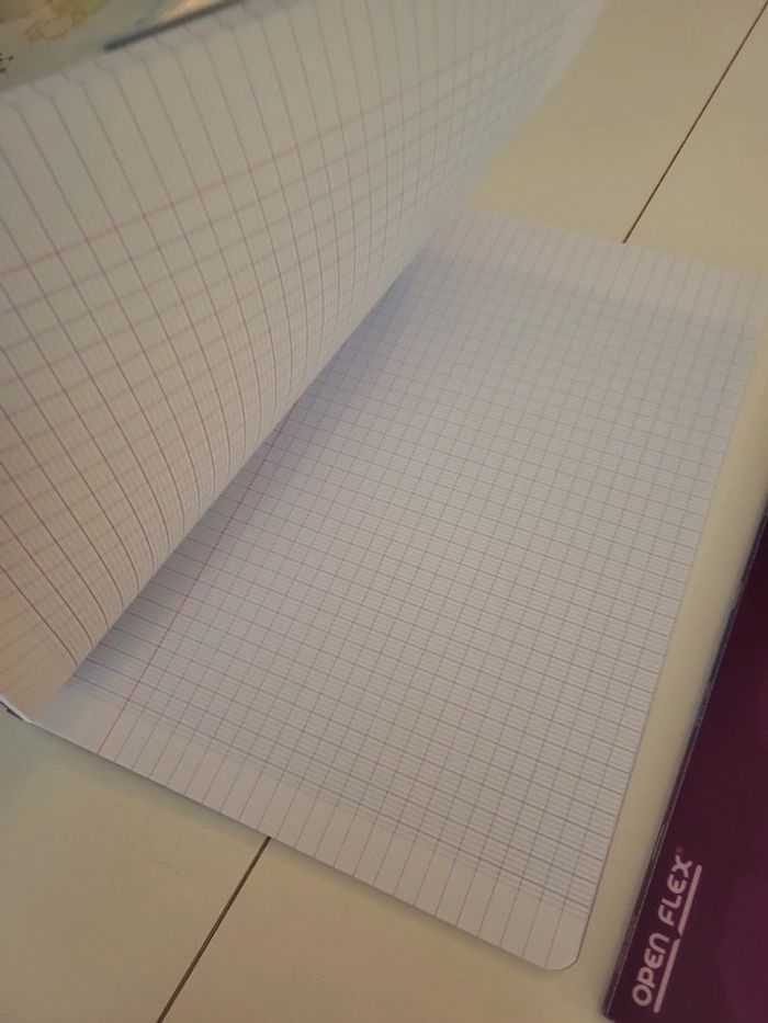 2 cahiers oxford open flex 24x32 - photo numéro 2