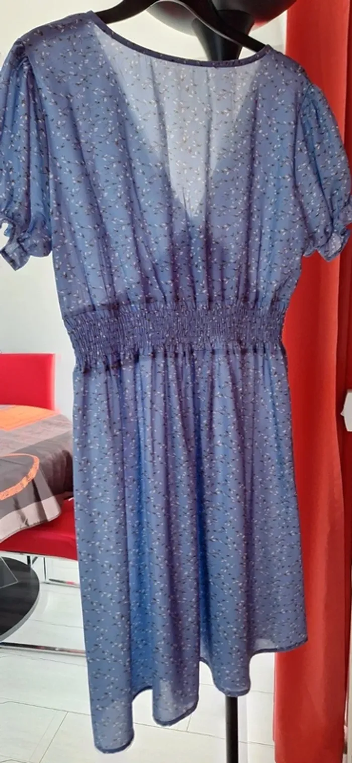 Robe bleu - photo numéro 5