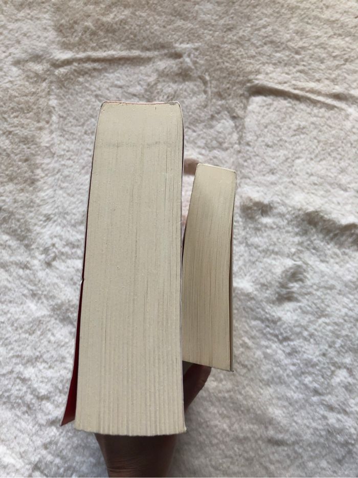 Lot 2 romans hiver / noël - photo numéro 7