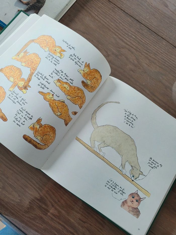 Du bon usage des chats - photo numéro 2