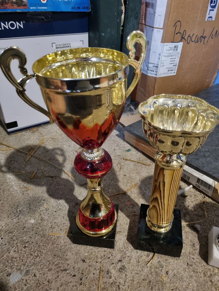 Coupes - photo numéro 2