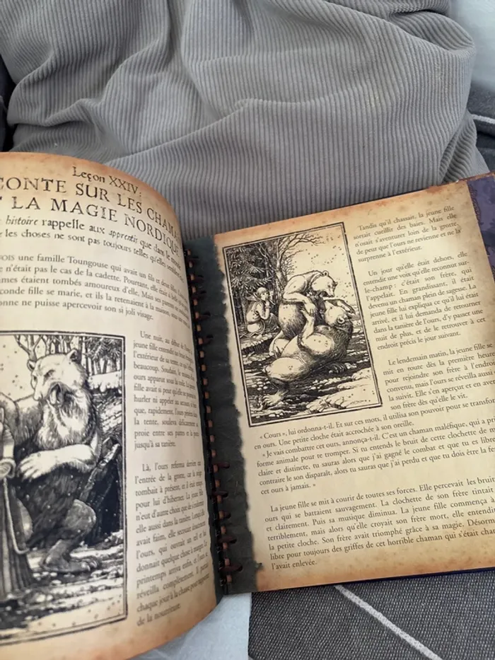 Petit manuel de Magicologie - photo numéro 6
