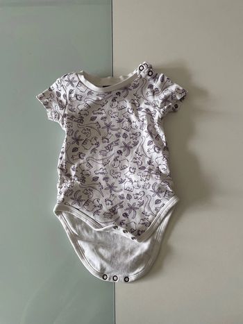 Body dinosaure