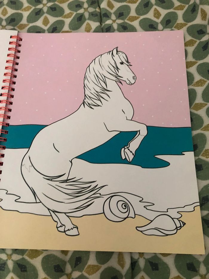 Livre de coloriage miss Mélody - photo numéro 20