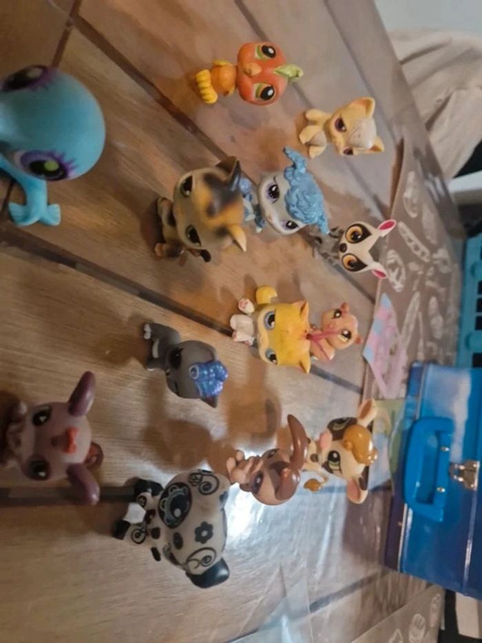 Lot petshop - photo numéro 3