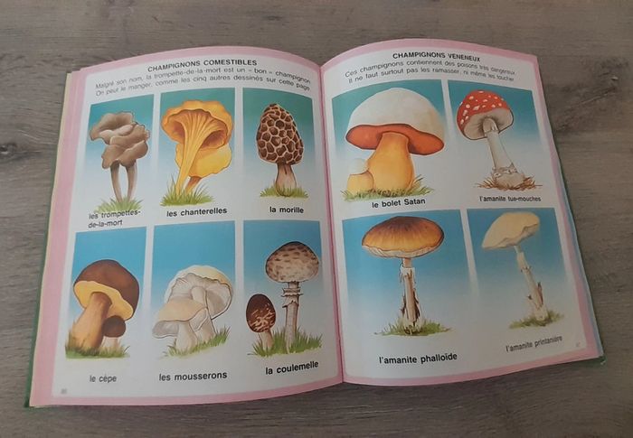 Livre: L'imagerie de la nature - Fleurus enfants - photo numéro 5