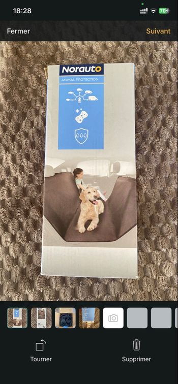 Norauto pour le chien 