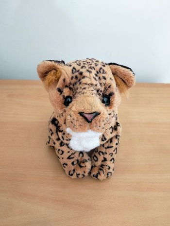 Léopard Newborn
