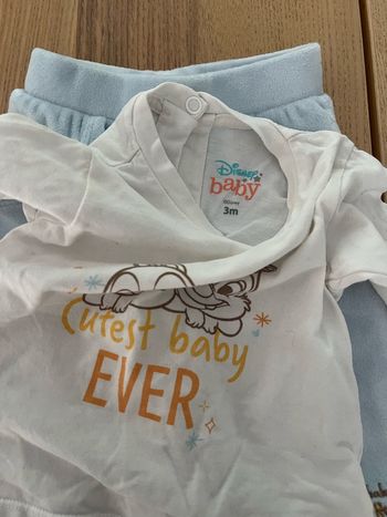 Ensemble Disney