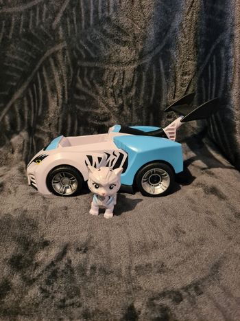 Roxy Wildcat pat patrouille 