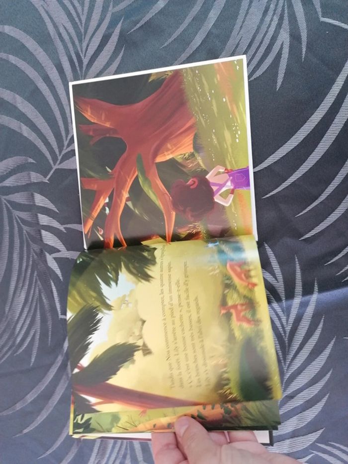 Livre mcdo cache cache ds les Vosges - photo numéro 2