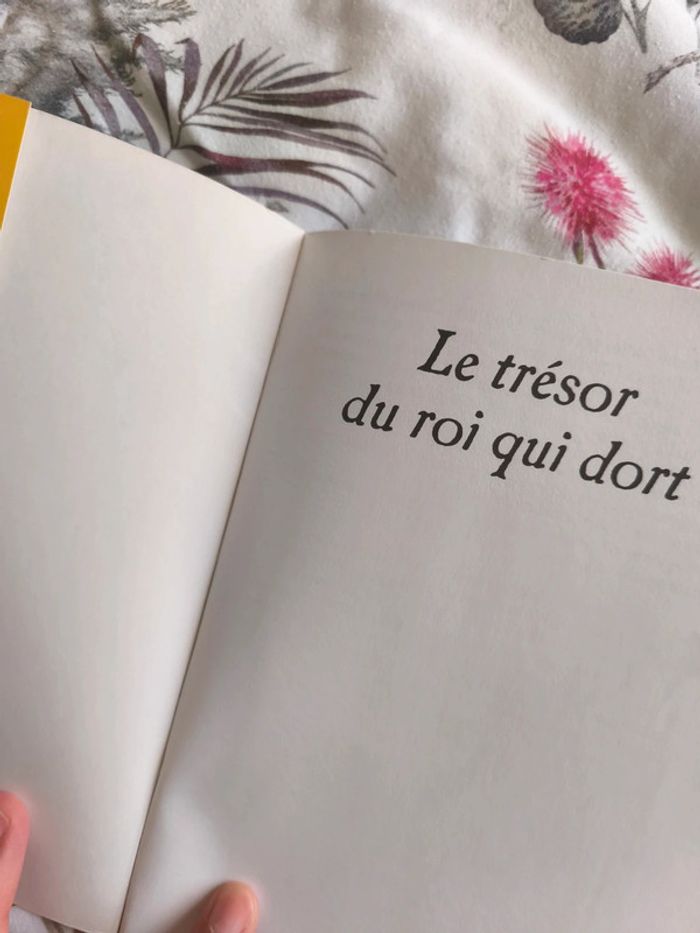 Le trésor du roi qui dort - photo numéro 3
