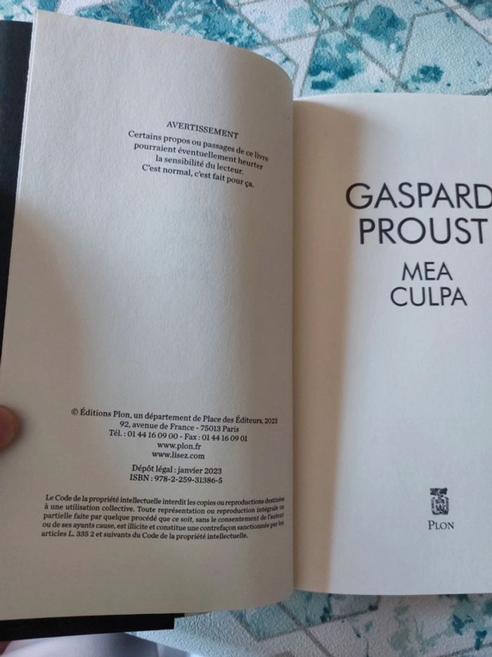 Gaspard Proust - Mea Culpa - photo numéro 3