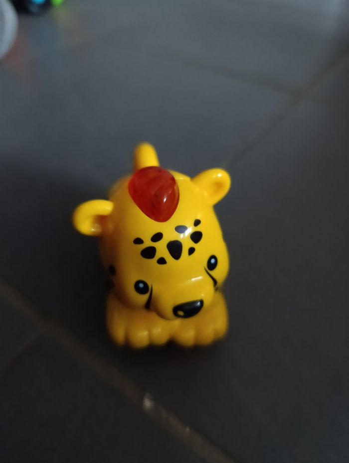 Tutut animo - photo numéro 7